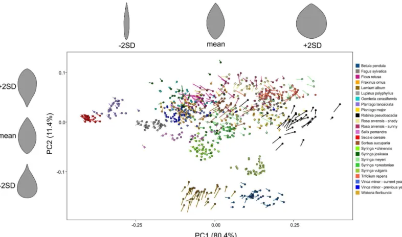 Fig 1. Scatterplot for results of principal component analysis of elliptic Fourier descriptors