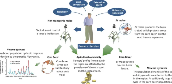 Fig 1. Influences on farmers ’ decisions and their impacts. A schematic illustrating the influences on farmers' decisions on what varieties of maize to grow, and how this impacts the population dynamics of the European corn borer and the profitability of f