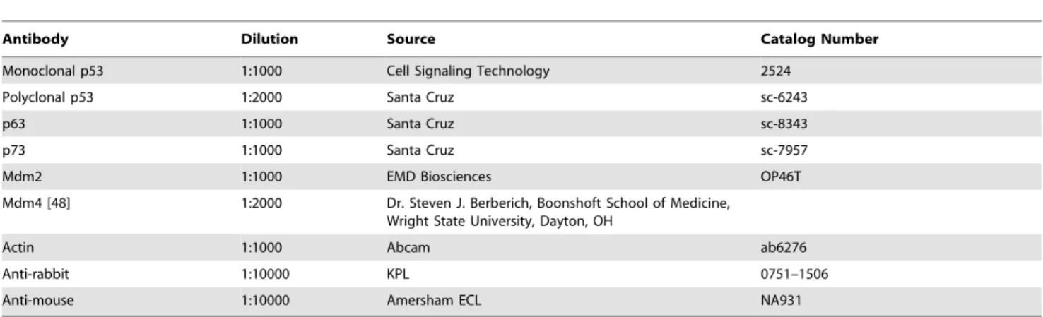 Table 2. Antibodies and lectins used for fluorescence IHC labeling.