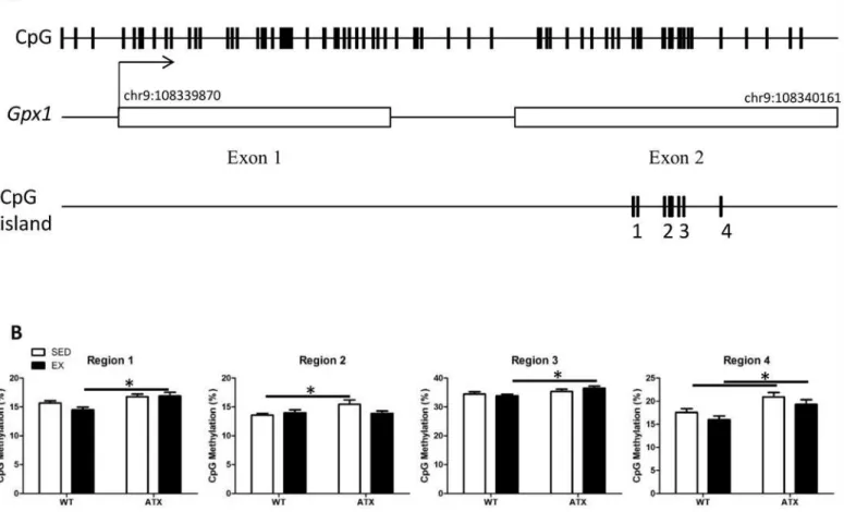 Fig 4. Dyslipidemia induces methylation changes in the Gpx1 gene body. (A) Glutathione peroxidase 1 gene targeted for methylation quantification;