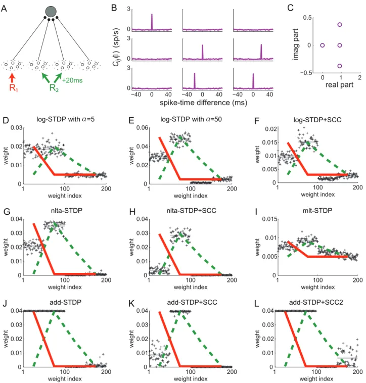 Figure 8. Influence of the STDP parameters. (A) The neuron is stimulated by four pools