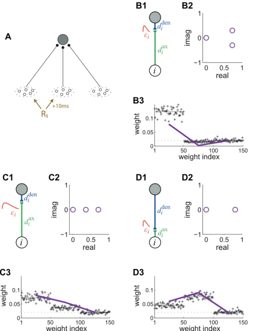 Figure 9. Influence of the PSP response on the kernel x and the resulting weight structure for log-STDP