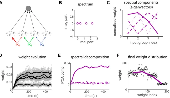 Figure 5. Principal component analysis for mixed correlation sources. (A) The postsynaptic neuron is excited by m ~ 4 pools of 50 inputs each with the global input correlation matrix C x ( w  ) in (13)