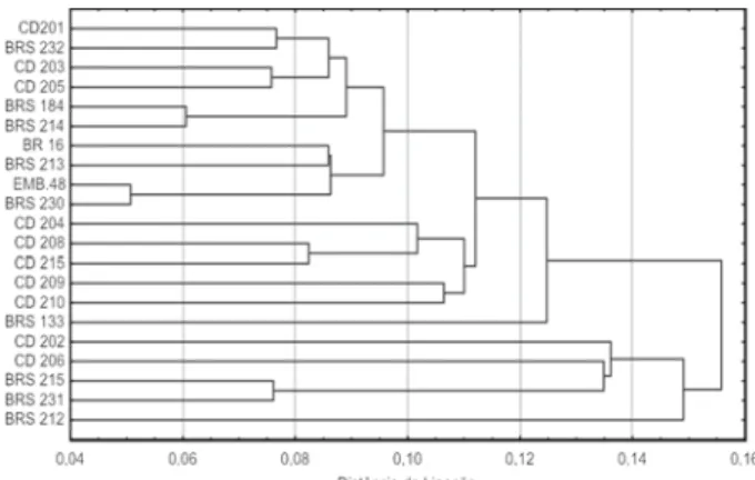 Figura 4. Representação da dissimilaridade genética entre os 21 cultivares de soja avaliados, no potencial osmótico de – 0,4 MPa, obtida pela técnica do vizinho mais próximo, com base na distância euclidiana.