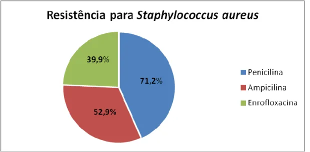 Figura 01: Taxas de resistência para Staphylococcus aureus, de amostras de leite. 