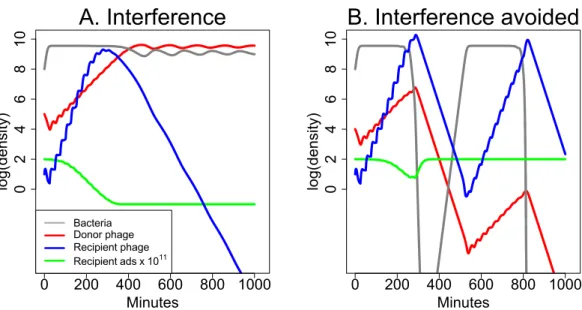 Figure 7 Dynamics of donor and recipient phages with interference, the opposite of synergy