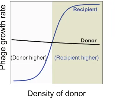 Figure 4 Necessary conditions for the long term co-maintenance of two phages (donor and recipi- recipi-ent)