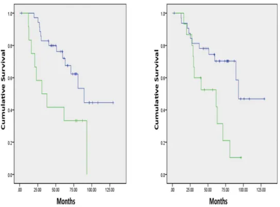 Figure 4. Disease free survival curves based on QTA. Lower kurtosis with coarse-texture (green line, median DFS 59.6 months) had inferior OS vs