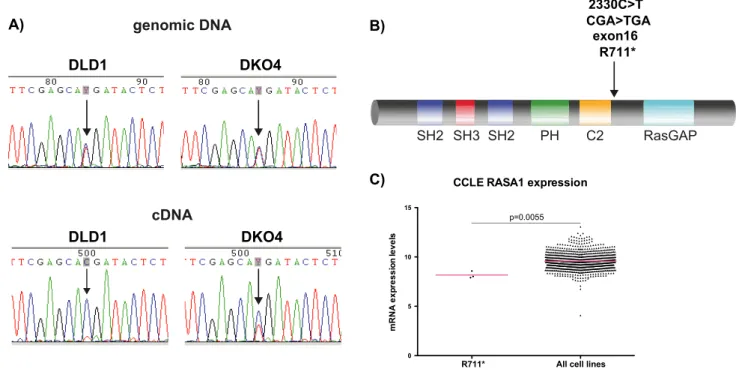 Figure 2. Identification of a novel truncating mutation in RASA1. A) Chromatogram showing relative intensities of each base pair after Sanger sequencing in both the genomic and cDNA derived from the cell lines