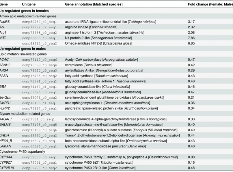 Table 2. List of differentially expressed genes related to metabolism in female and male Eriocheir sinensis transcriptomes.