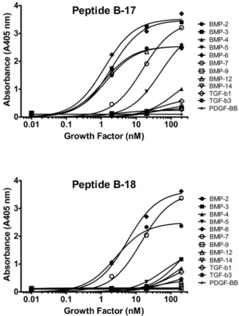 Figure 4. BMP-2 Binding to Peptide. Biotinylated peptides were immobilized on streptavidin-coated plates and incubated with a range of rhBMP-2 concentrations in TBST for 1 h