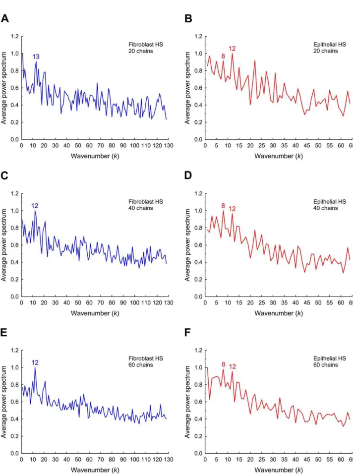 Figure 5. Examples of average Fourier power spectra for HS chains. Average power spectrum for fibroblast HS based on (A) 20 chains, (C) 40 chains, and (E) 60 chains