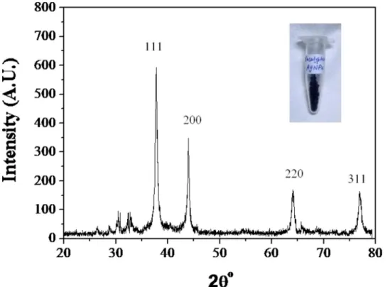 Fig 4. X-ray pattern of ELE-AgNPs synthesized following the scheme-I.