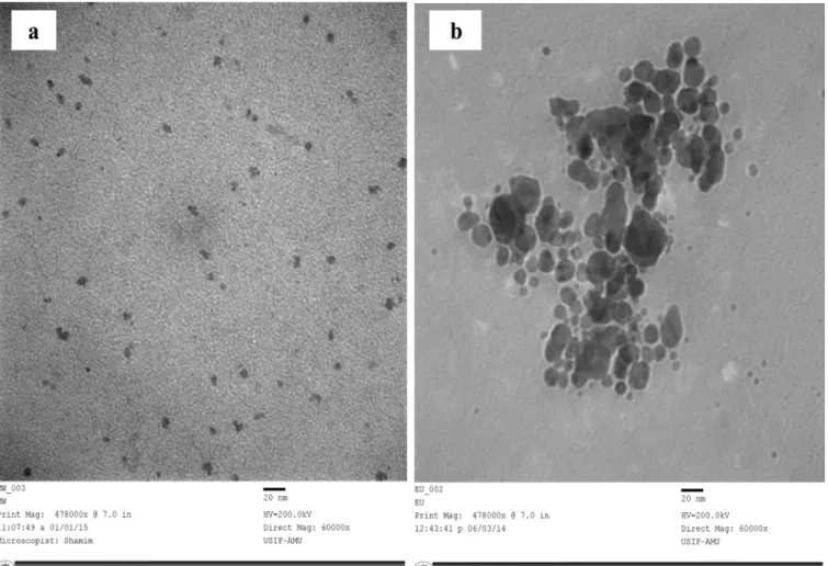 Fig 5. TEM micrograph of synthesized ELE-AgNPs. Panel (A) depicts the TEM images of ELE-AgNPs synthesized by microwave assisted approach, as specified in Fig 1, scheme-II; Panel (B) shows the images of ELE-AgNPs synthesized at 37°C.