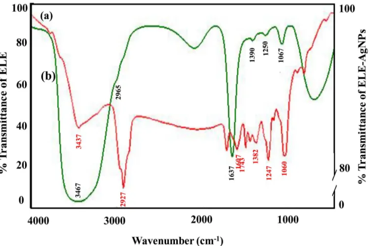Fig 7. FTIR spectra of synthesized ELE-AgNPs. Panels (a) and (b) depict the spectra of ELE- AgNPs and ELE alone, respectively.