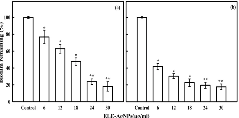 Fig 10. ELE-AgNPs concentration dependent inhibition of bacterial biofilm formation. Panels (a) and (b) show the inhibition of biofilm formation by P.