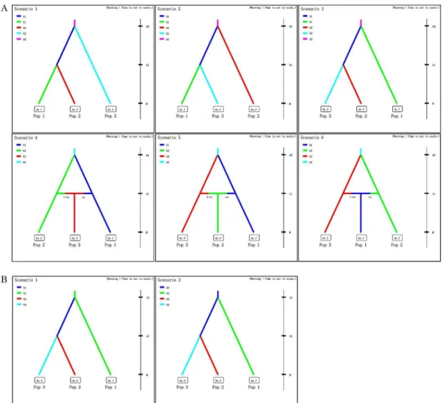Fig 2. Scenarios for the DIY ABC analyses, which was designed to infer the origin of G 