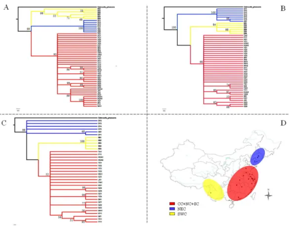 Fig 3. Bayesian phylograms based on sequences obtained from G . birmanica samples. Sequence data are shown for COI (A), COII (B); and (C) Cytb