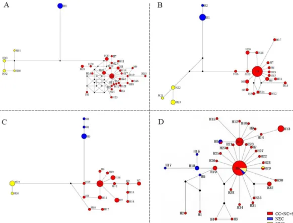 Fig 4. Median-joining (MJ) networks of G. birmanica haplotypes based on analysis of the following genes (A) COI;