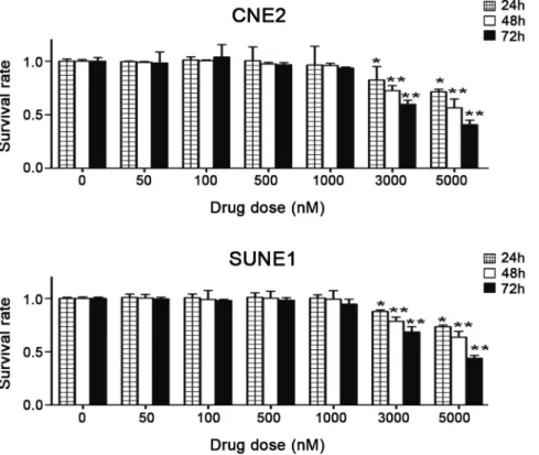 Figure 2. Effect of 5-azaC on the colony-forming ability of NPC cells in vitro . Clonogenic survival of CNE2 and SUNE1 cells irradiated with a single-dose of 0, 2, 4, 6, 8 Gy after pretreatment with 1 mmol/L (5-azaC + IR) or PBS (IR).