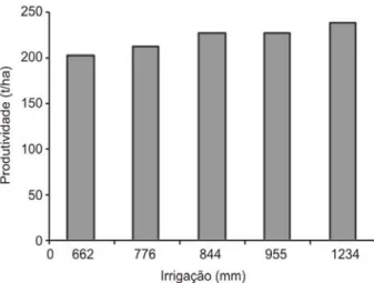 Figura 2. Produtividade da mangueira Tomy Atkins para cinco lâminas de irrigação (experimento 1).