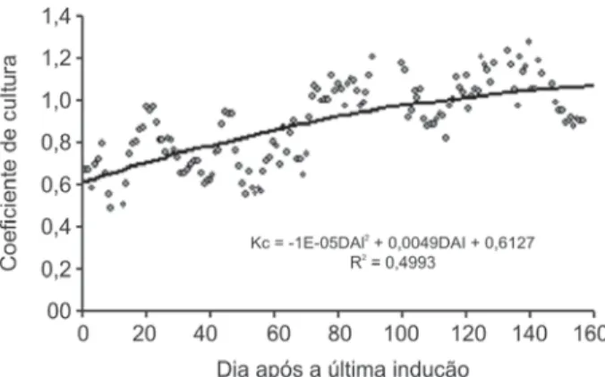 Figura 9. Coeficientes de cultura médios durante o período produtivo da mangueira Tommy Atkins.