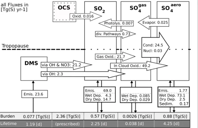 Fig. 1. Schematic budget diagnostics of model prognostic sulphur constituents in the last year of integration