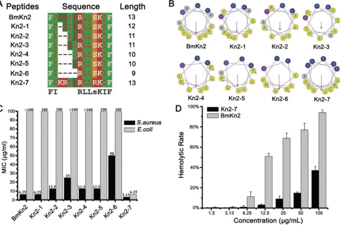 Figure 1. Screening, antimicrobial and hemolytic activities of Kn2-7 in vitro . (A) Multiple alignments of Kn2-7 and its seven derivatives