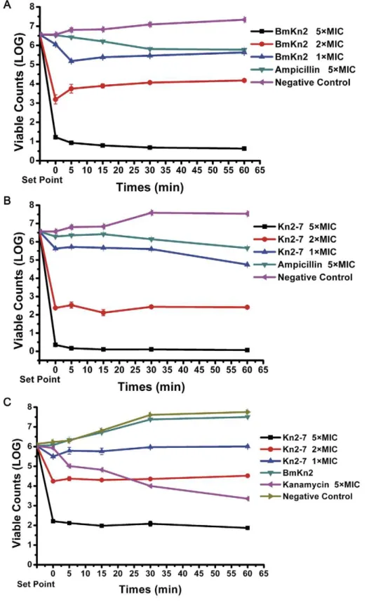 Figure 4. Secondary structure and enzyme release assay of Kn2-7. (A) and (B) Secondary structure analysis of the Kn2-7 and BmKn2 peptides.