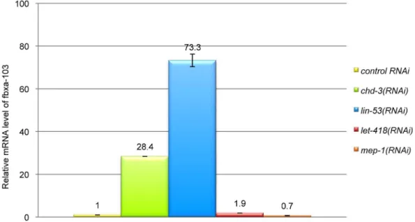 Figure 6. let-418 and chd-3 transcriptional reporters have different expression patterns