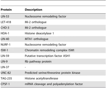 Table 2. rba-1 and egl-27 are not synMuv B genes.