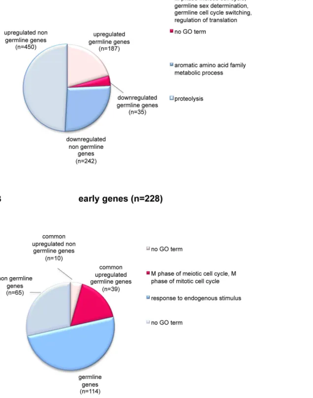 Figure 4. LET-418 and MEP-1 regulate germline and early embryonic genes. Pie charts show repartition and functional annotation of the common deregulated genes (A) and the early genes (B) according to gene ontology (GO) annotations