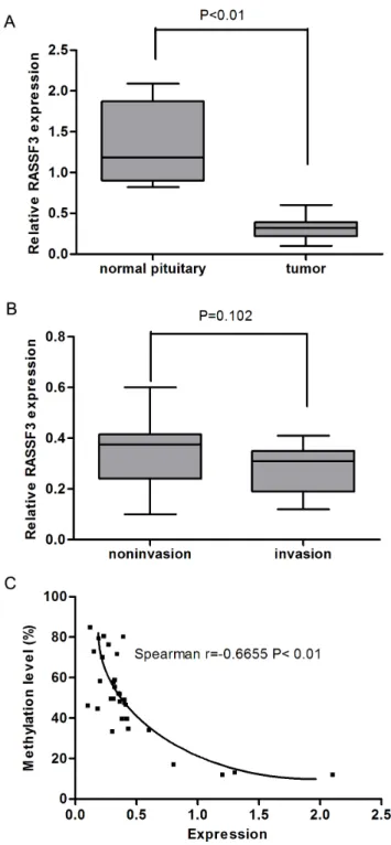 Figure 2. RASSF3 downregulation correlates with its promoter hypermethylation in human somatotroph adenomas