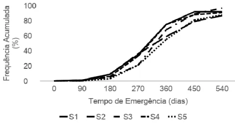 Figura 1. Freqüência acumulada de emergência de plântulas de Garcinia gardneriana (Planch