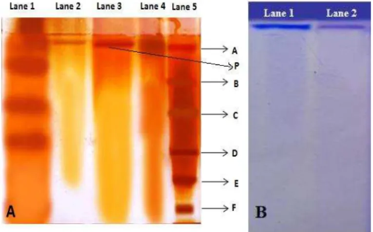 Figure  4  Effect  of  pH  on  L-asparaginase  activity.  The  values  with  different  letters on error bars are significantly different at P  0.05 .