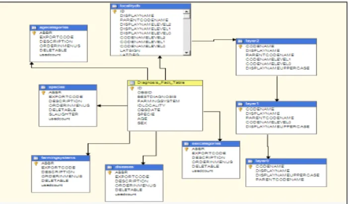 Figure 2 diagnosis data mart structure 