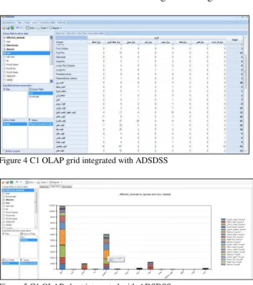 Figure 4 C1 OLAP grid integrated with ADSDSS 