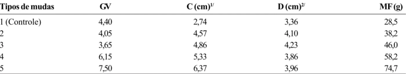 Tabela 2. Número total de gemas visíveis (GV), comprimento (C), diâmetro (D) e massa fresca (MF) de cinco tipos de mudas de mandioquinha-salsa ‘Roxa de Viçosa’