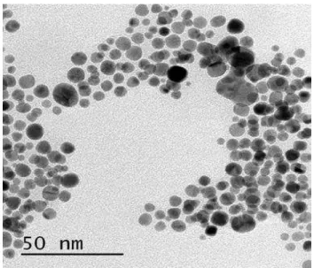 Fig. 1. TEM image of gold nanoparticles  . 
