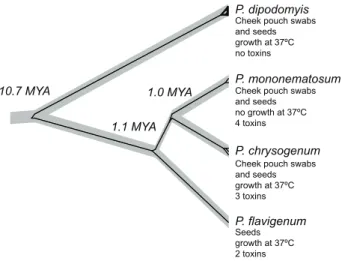 Table 1. Mating types and sequence types of P. dipodomyis isolates.