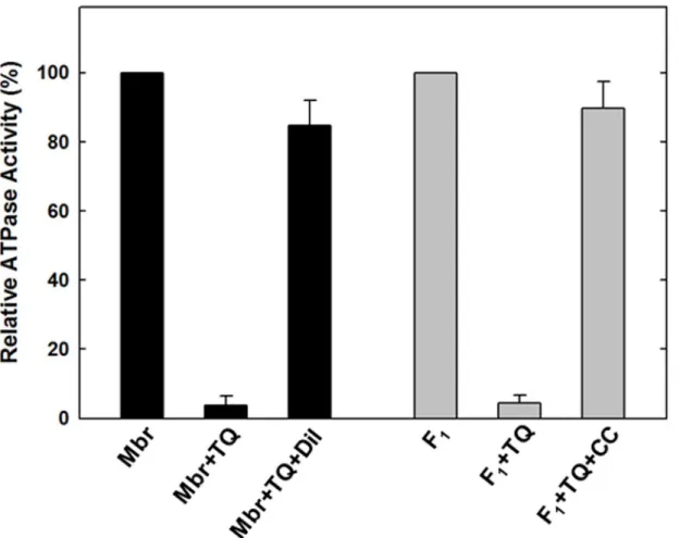 Fig 4. Reversal of TQ induced inhibition by dilution and passing through centrifuge columns