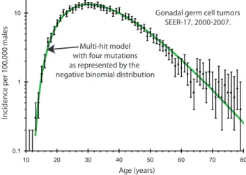 Figure 1. This is a comparison between the observed (SEER-17, 2000–2007) age-specific incidence for testicular cancers and that predicted by the multi-hit model with four mutations