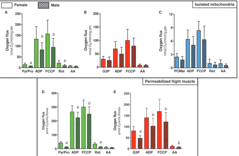 Fig 3. Comparative analyses of respiratory rates induced by different substrates among A