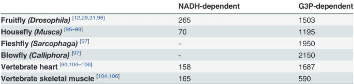 Table 6. Comparison of mitochondrial H 2 O 2 production by insect flight muscle and vertebrate muscles