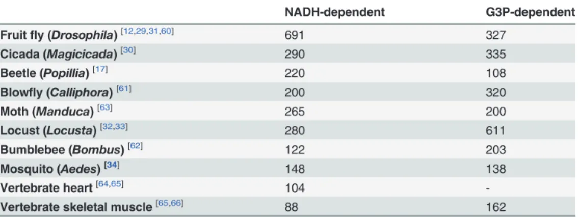 Table 1. Mitochondrial oxygen consumption of insect flight muscle compared to vertebrate muscle induced by two distinct electron transport system sites.