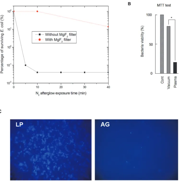 Fig 2. Effect of nitrogen afterglow exposure on bacteria inactivation and viability. A: Survival curves obtained for E 