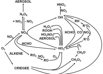 Fig. 10. Processes controlling the instantaneous production (a) and loss (b) of HO 2 radicals at night