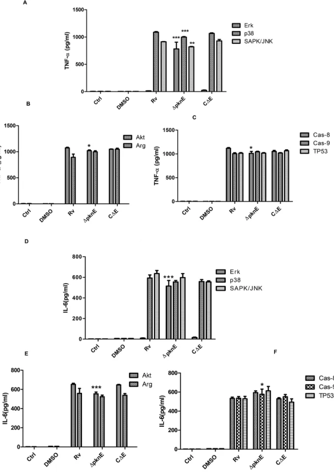 Figure 4. The secretion of TNF- a and IL-6 in D pknE infected macrophages is modulated by intracellular signaling