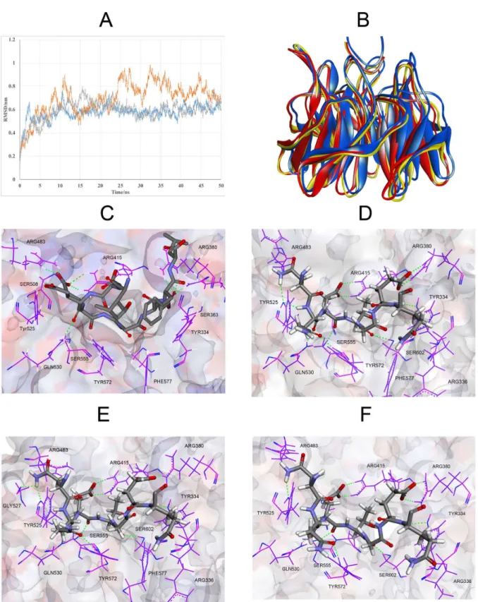 Figure 7.  MD simulation of IKKβ-Keap1 complex.  (A) RMSD value of backbone atoms respect to the starting structure (yellow for the first run, gray for the second run and blue for the third run)