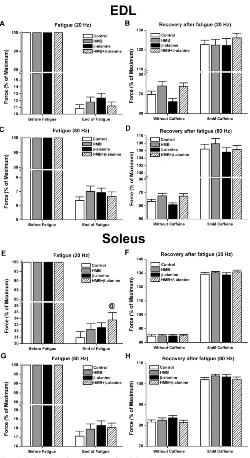 Fig 6. Fatiguing stimulation and recovery from fatigue in EDL and soleus muscles. Alternating frequencies of 80 Hz and 20 Hz were used to fatigue the muscles intermittently for 5 minutes, with a periodicity of one second